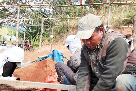 Người dân ươm cây giống tại vườn “Ươm mầm tương lai-Phát triển cây trồng bền vững Tu Mơ Rông”.