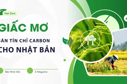 Giấc mơ bán tín chỉ carbon cho Nhật Bản