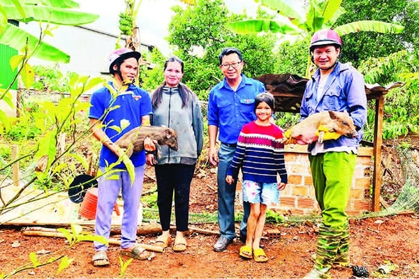 Mô hình sinh kế tặng heo giống tạo động lực để học sinh nghèo có điều kiện đến trường.