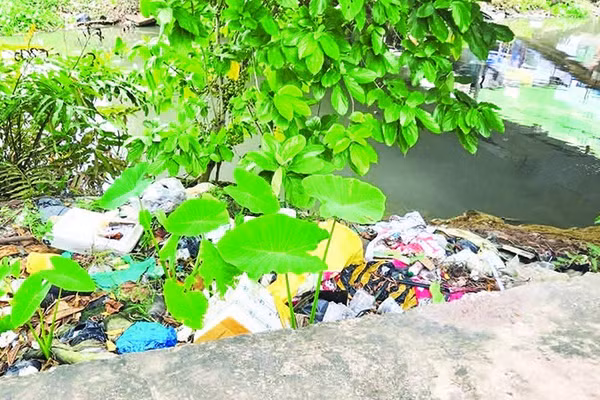 Rác thải tràn ngập hai bên bờ nhiều con rạch ở ngay giữa trung tâm thành phố.