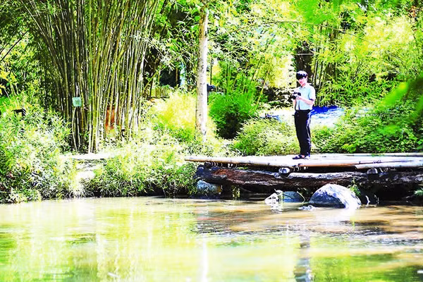 1- Hồ nước nằm giữa khu vườn giúp không gian thêm mát mẻ. 