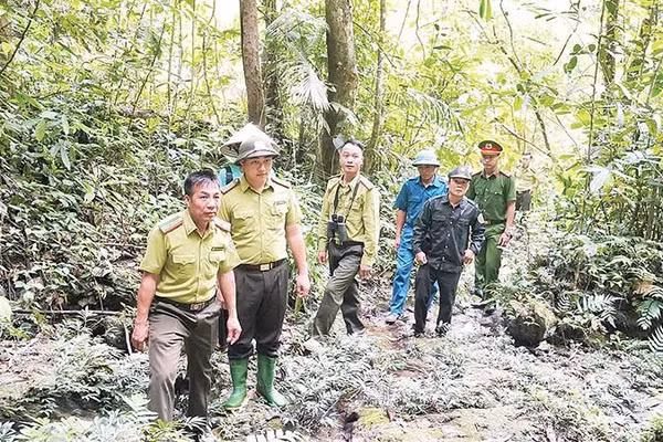 Cán bộ Hạt Kiểm lâm khu vực 5 cùng lực lượng chức năng thường xuyên tuần tra, bảo vệ rừng.