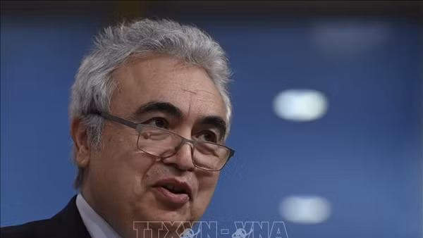Giám đốc điều hành Cơ quan Năng lượng quốc tế (IEA) Fatih Birol. (Ảnh: TTXVN)