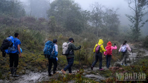 Du khách chinh phục cung đường đến đỉnh Lảo Thẩn, Lào Cai. (Ảnh: HÀ TÔ)