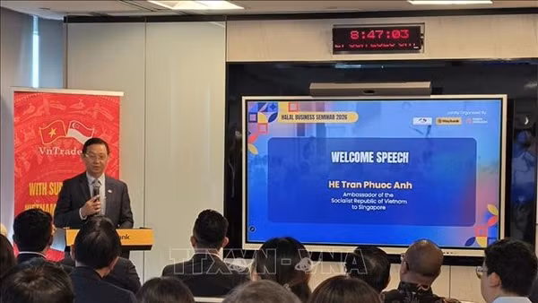 Đại sứ Việt Nam tại Singapore Trần Phước Anh phát biểu tại hội thảo. (Ảnh: TTXVN)