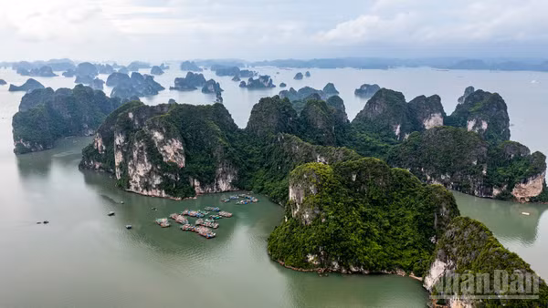 Condé Nast Traveler đánh giá, vịnh Hạ Long được du khách yêu thích bởi làn nước xanh biếc và những hòn đảo đá vôi trải dài. (Ảnh: THÀNH ĐẠT)