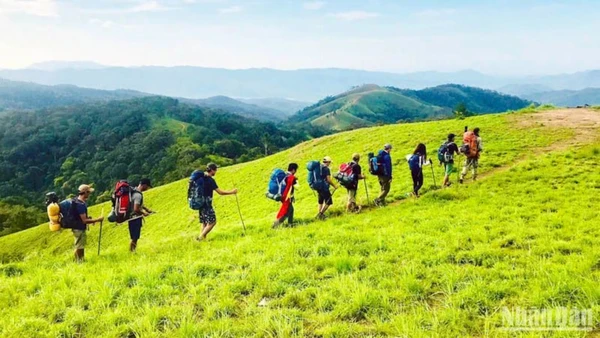 Du khách trải nghiệm cung trekking Tà Năng-Phan Dũng. (Ảnh: MAI VĂN BẢO)