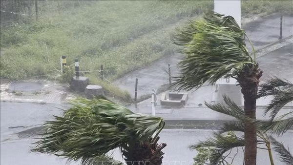 Gió mạnh kèm theo mưa do ảnh hưởng của bão Khanun tại Okinawa, Nhật Bản. (Ảnh tư liệu - minh họa: TTXVN)