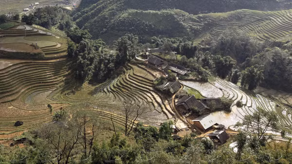 Từ đỉnh Hầu Thào, khách du lịch có thể nhìn thấy thấp thoáng nhà của bà con người Mường giữa những thửa ruộng bậc thang. (Ảnh: TTXVN)