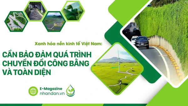 Xanh hóa nền kinh tế Việt Nam: Cần bảo đảm quá trình chuyển đổi công bằng và toàn diện
