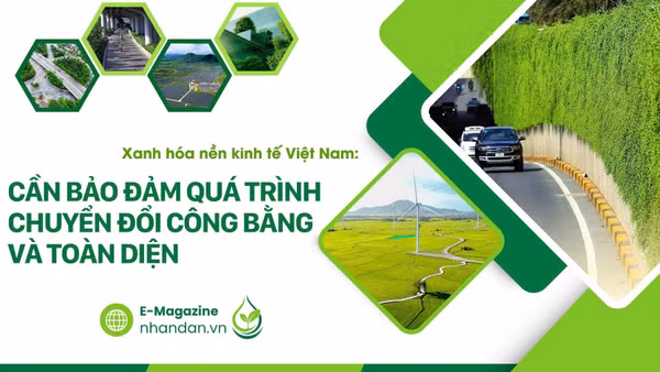Xanh hóa nền kinh tế Việt Nam: Cần bảo đảm quá trình chuyển đổi công bằng và toàn diện