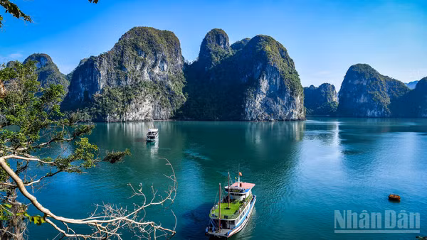 Vịnh Hạ Long - một trong những điểm đến thu hút khách du lịch hàng đầu Việt Nam. (Ảnh: THÀNH ĐẠT)