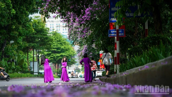 Một góc nhỏ ở Thủ đô Hà Nội. (Ảnh: THÀNH ĐẠT)