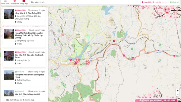 Với bản đồ mai anh đào Đà Lạt số, du khách có thể tra cứu thông tin chính xác về từng địa điểm, trạng thái của từng khu vực hoa nở. (Ảnh chụp màn hình)