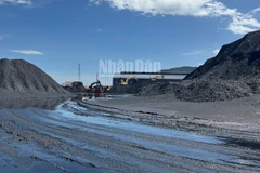 Bãi tập kết than trái phép hoạt động từ tháng 6/2024 đến nay.