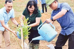 Lãnh đạo Sở Nông nghiệp và Môi trường Điện Biên cùng đoàn chuyên gia khảo sát thực địa lựa chọn điểm xây dựng công trình hồ chứa nước Sái Lương tại tỉnh Điện Biên.