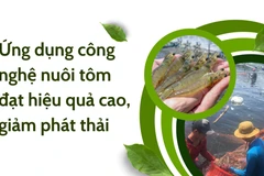 Ứng dụng công nghệ nuôi tôm đạt hiệu quả cao, giảm phát thải