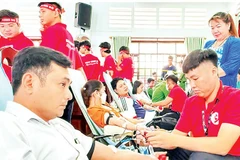 Phong trào hiến máu tình nguyện được lan tỏa rộng khắp ở Vĩnh Long. (Ảnh BÁ DŨNG)