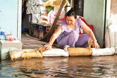 Người dân khu vực Bến Phú Định (Quận 8 cũ) dùng bao cát ngăn nước triều dâng vào những tháng cuối năm. (Ảnh THẾ ANH)