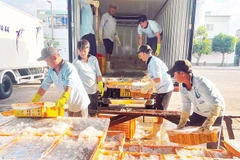 Thủy sản sạch được chở đến công ty để chế biến.