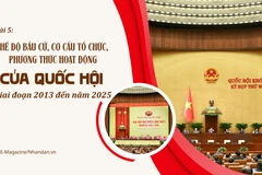 Bài 5: Chế độ bầu cử, cơ cấu tổ chức, phương thức hoạt động của Quốc hội giai đoạn 2013 đến năm 2025