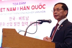 Phó Thủ tướng, Bộ trưởng Ngoại giao Việt Nam Bùi Thanh Sơn phát biểu tại Tọa đàm. (Nguồn: Báo Chính phủ)