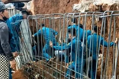 Các lực lượng tổ chức tìm kiếm, đưa nạn nhân đi cấp cứu nhưng sau đó đã tử vong.