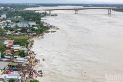 Nước sông Thu Bồn dâng cao tại xã Duy Nghĩa, thành phố Đà Nẵng. (Ảnh: TÙNG LÂM).