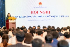 Bộ trưởng Y tế Đào Hồng Lan phát biểu tại hội nghị.