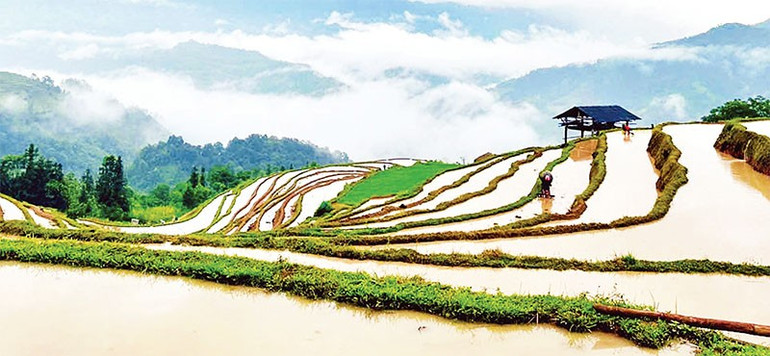 Sau mùa lúa chín vàng thì mùa nước đổ cũng là thời điểm vùng di sản ruộng bậc thang Hoàng Su Phì thu hút đông đảo du khách trong và ngoài nước đến tham quan. 3.jpg