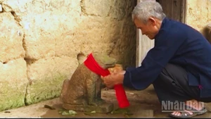 Đến Tết, chó đá Ma-hin không chỉ được tắm mà còn được choàng một chiếc khăn đỏ.