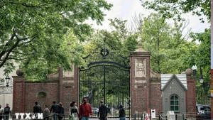 Khuôn viên Đại học Harvard ở Cambridge, bang Massachusetts, Mỹ. (Ảnh: THX)