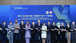 Các Đại sứ Phái đoàn các nước ASEAN và các diễn giả tại Diễn đàn. (Ảnh: TTXVN)