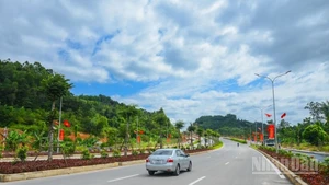 Ảnh minh họa: nhandan.vn.