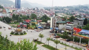 Ảnh minh họa.