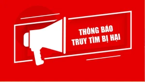 Ảnh minh họa.