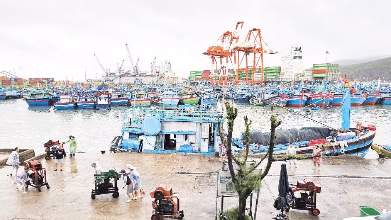 Gia Lai sẽ khảo sát và đề xuất hỗ trợ chi phí nhiên liệu cho ngư dân khi giá dầu tăng cao.