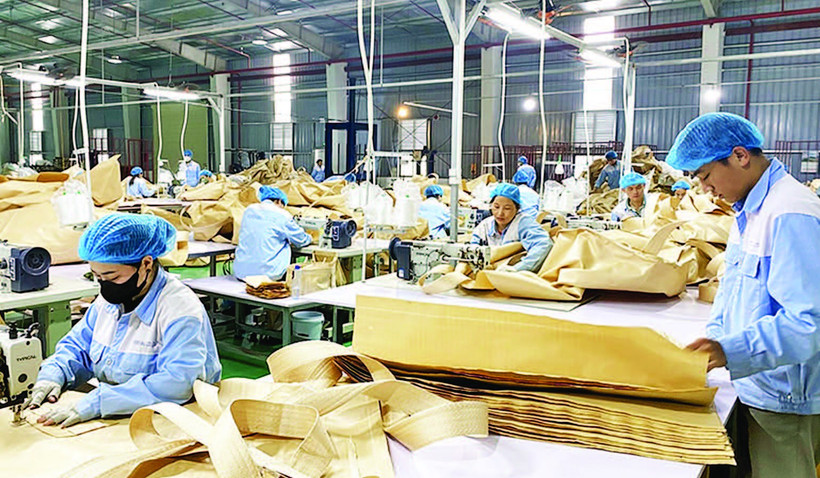 Công ty TNHH Korea Bag sản xuất bao bì xuất khẩu tại Cụm công nghiệp Phúc Ứng, huyện Sơn Dương.