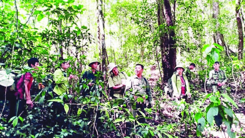 Các hộ nhận khoán và lực lượng chuyên trách tuần tra, bảo vệ rừng.