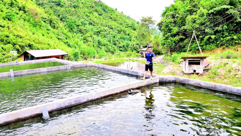 Nghề nuôi cá nước lạnh mang lại thu nhập cao cho người dân.