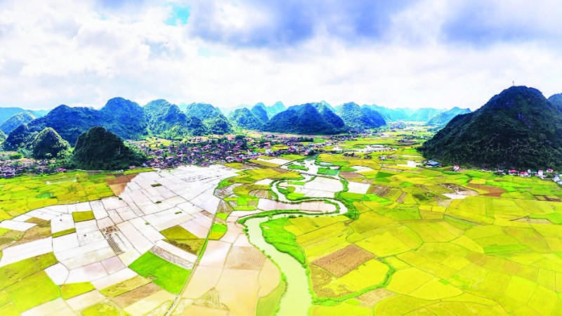 1. Từ cao nhìn xuống, thung lũng pha trộn giữa màu vàng của lúa, màu xanh của núi rừng, màu nâu của đất mới và màu lam nhạt của sương sớm.