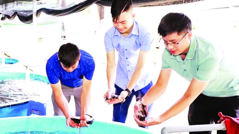 Mô hình ươm cá giống với hơn 10 vạn con giống của anh Trịnh Văn Hà, xã Nà Hang, tỉnh Tuyên Quang.