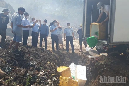 Lực lượng chức năng tiến hành tiêu hủy gần 500kg thực phẩm đông lạnh không rõ nguồn gốc.