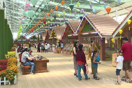 Mô hình du lịch canh nông tại Lâm Đồng thu hút du khách đến tham quan, trải nghiệm.