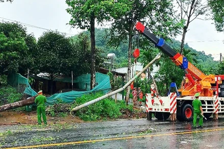 Cây xanh, cột điện ngã đổ ra Quốc lộ 20 đoạn qua xã Hà Lâm, huyện Đạ Huoai, tỉnh Lâm Đồng.
