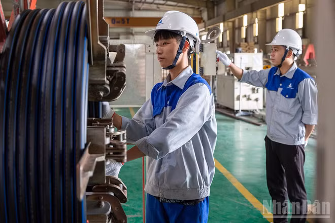 Người lao động ở Công ty Tân Á-Đại Thành. (Ảnh TÙNG NGUYÊN) 