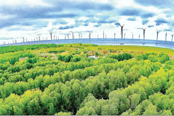 Phát triển năng lượng tái tạo là một trong ba đột phá chiến lược của Cà Mau từ năm 2026.