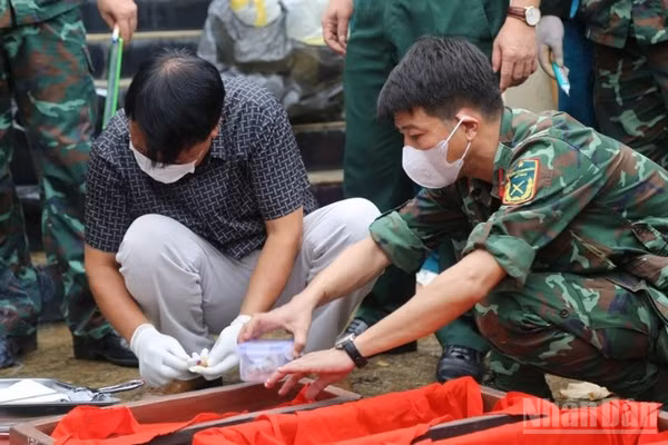 Từng công đoạn khai quật đều được thực hiện hết sức cẩn trọng, tỉ mỉ, bảo đảm giữ gìn nguyên trạng các di vật, mẫu vật và thông tin liên quan phục vụ công tác xác minh. (Ảnh: THANH SƠN)