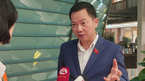 Đại biểu Trịnh Xuân An (Đồng Nai). (Ảnh: TRUNG HƯNG)