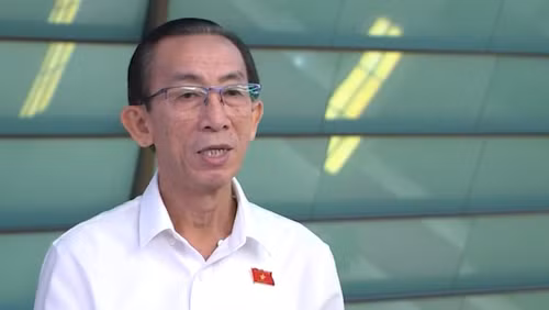 Đại biểu Trần Hoàng Ngân (Thành phố Hồ Chí Minh). (Ảnh: TRUNG HƯNG)